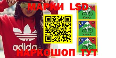 гашик Новодвинск