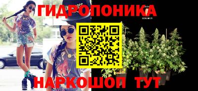 метадон Новозыбков