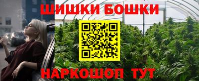 гашик Новодвинск