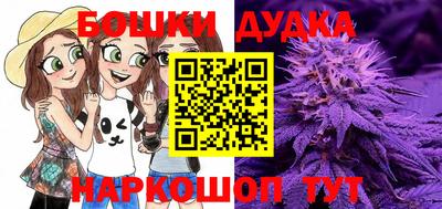 метадон Новозыбков