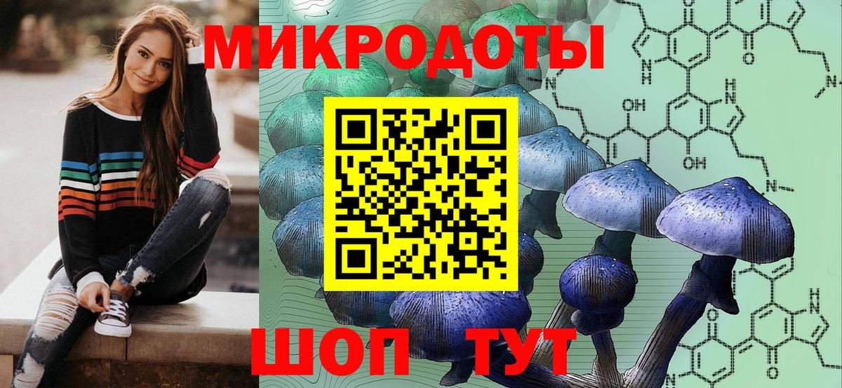 Псилоцибиновые грибы Psilocybine cubensis  где продают наркотики  Удомля  Вход с VPN  Галлюциногенные грибы мицелий 
