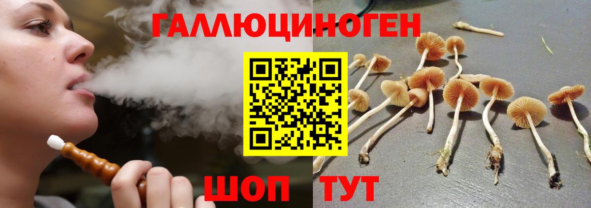 Псилоцибиновые грибы GOLDEN TEACHER Удомля